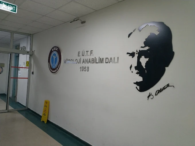 رشتههای دانشگاه اژه در مقاطع مختلف